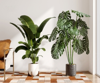 Modern Ground Green Plant Potted Plants-ID:717605111