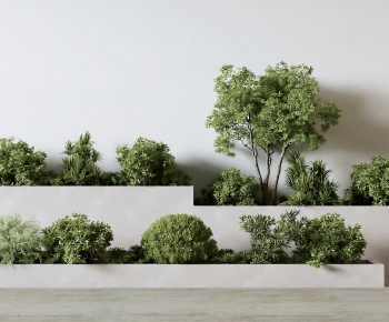 Modern Flower Bed, Flower Bowl, Flower Box-ID:545721052