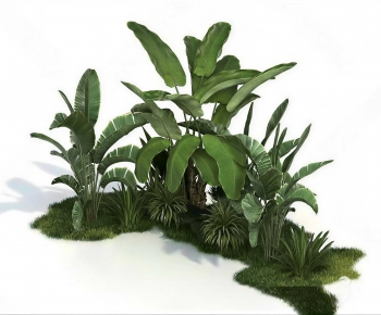 Modern Plant Landscaping-ID:867064007