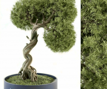 Modern Ground Green Plant Potted Plants-ID:715823893