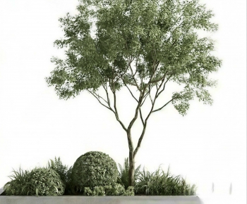 Modern Tree Pool-ID:679977895