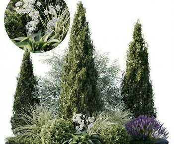 Modern Plant Pile-ID:410154104