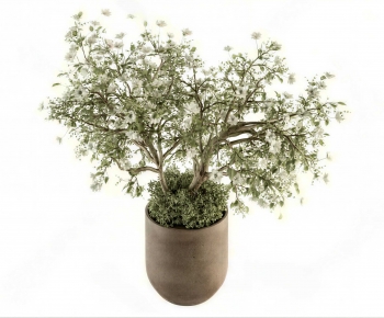 Modern Potted Green Plant-ID:431330229