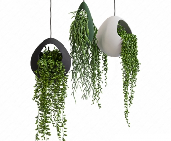 Modern Chlorophytum Comosum-ID:449481012