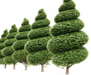 Modern Tree-ID:291461944