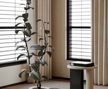 Modern Ground Green Plant Potted Plants-ID:954714068