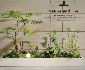 Modern Plant Landscaping-ID:321360112