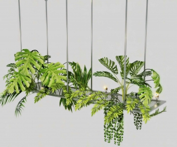 Modern Chlorophytum Comosum-ID:189340119