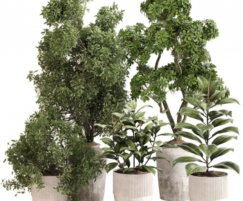 Modern Ground Green Plant Potted Plants-ID:802571062