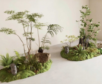 Modern Plant Landscaping-ID:258342031