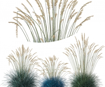 Modern Flowers And Grass-ID:540956027