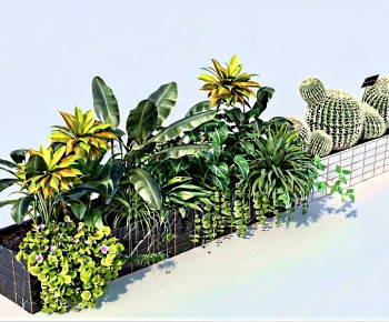 Modern Flower Bed, Flower Bowl, Flower Box-ID:296526918