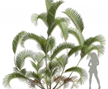 Modern Plant-ID:731899767