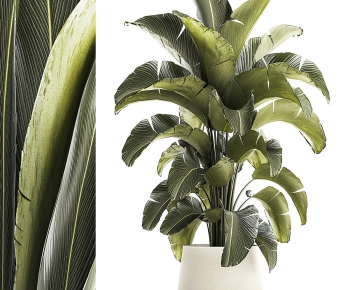Modern Ground Green Plant Potted Plants-ID:986659054