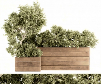 Modern Flower Bed, Flower Bowl, Flower Box-ID:264941938