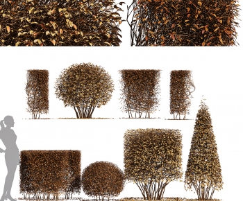 Modern Shrubbery-ID:532760618