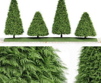 Modern Tree-ID:235660143