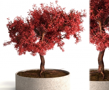 Modern Tree Pool-ID:634392982