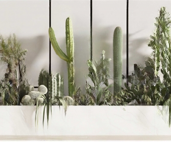 Modern Plant Landscaping-ID:802917962