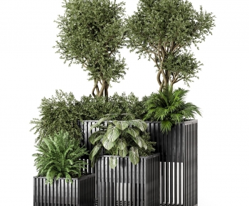 Modern Flower Bed, Flower Bowl, Flower Box-ID:792790894