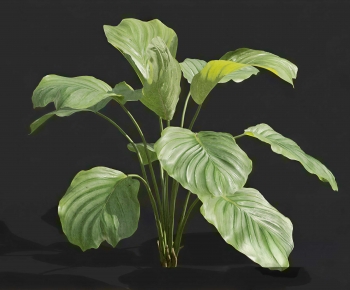 Modern The Grass-ID:315953022