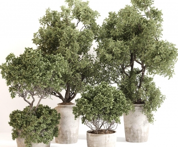 Modern Ground Green Plant Potted Plants-ID:266932964