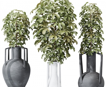 Modern Potted Green Plant-ID:877274991