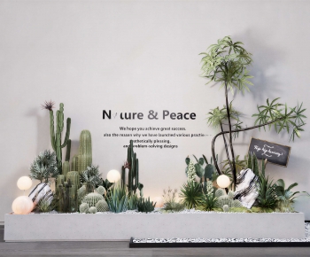 Modern Flower Bed, Flower Bowl, Flower Box-ID:240089894