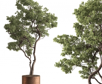 Modern Ground Green Plant Potted Plants-ID:734004026