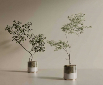 Modern Ground Green Plant Potted Plants-ID:484744071