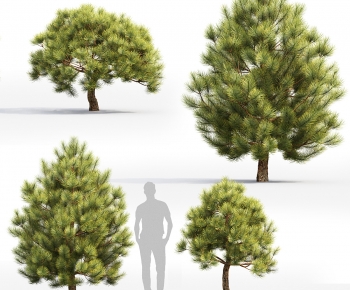 Modern Tree-ID:714118008