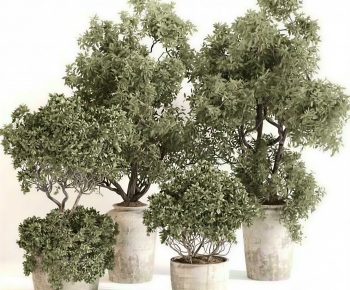 Modern Ground Green Plant Potted Plants-ID:311101919