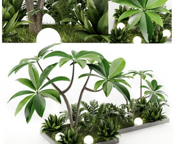 Modern Plant Landscaping-ID:205307019