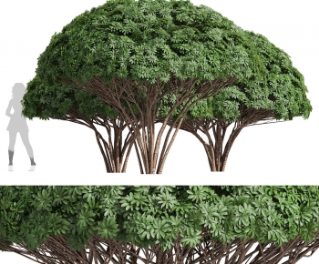 Modern Tree-ID:685767892