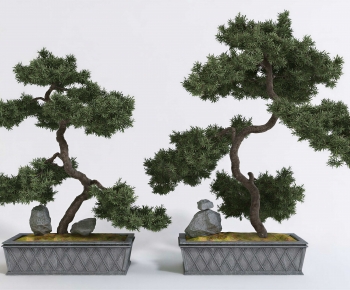New Chinese Style Bonsai-ID:888910069