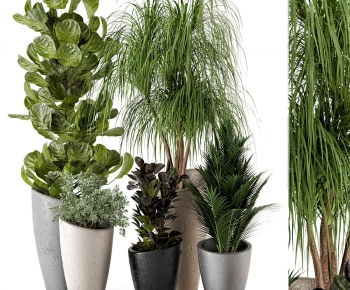 Modern Ground Green Plant Potted Plants-ID:323942908