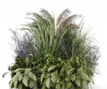 Modern Plant Pile-ID:804481037