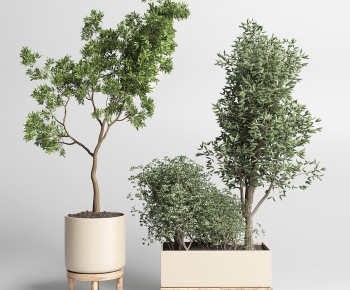 Modern Ground Green Plant Potted Plants-ID:593463901