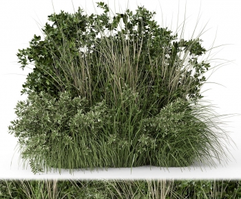 Modern The Grass-ID:653628117