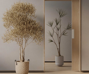 Modern Ground Green Plant Potted Plants-ID:744632961