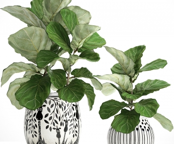 Modern Potted Green Plant-ID:817201193