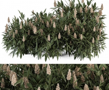 Modern Shrubbery-ID:332551013