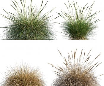 Modern The Grass-ID:956631906