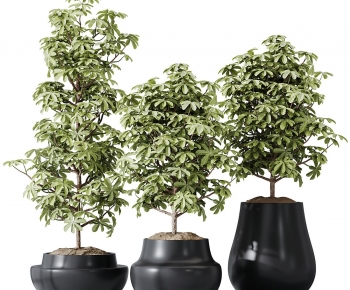 Modern Ground Green Plant Potted Plants-ID:101736076