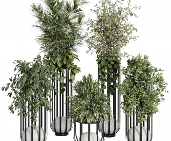 Modern Ground Green Plant Potted Plants-ID:520266066