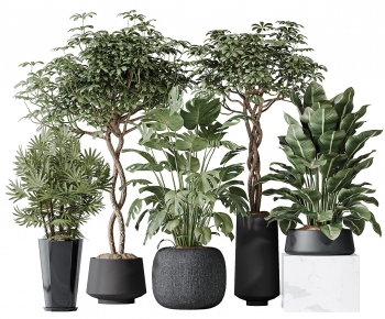 Modern Ground Green Plant Potted Plants-ID:132766015