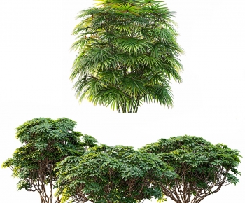 Modern Tree-ID:813944101