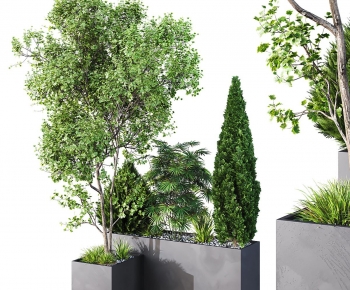 Modern Flower Bed, Flower Bowl, Flower Box-ID:117388019