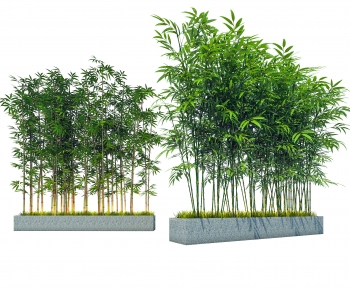 Modern Bamboo-ID:972399003