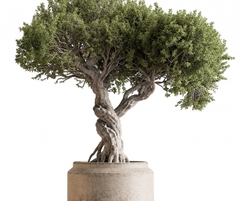 Modern Ground Green Plant Potted Plants-ID:969929937